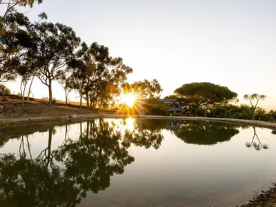 a pond with the sun setting in the background at Belcharto Accommodation in Stellenbosch