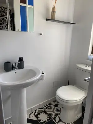 a white bathroom with a sink and a toilet at Milner Cottage: Digital Nomad Oasis in Cape Town