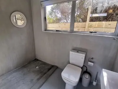 a small bathroom with a toilet and a window at Betty's Bay Cottage in Bettyʼs Bay