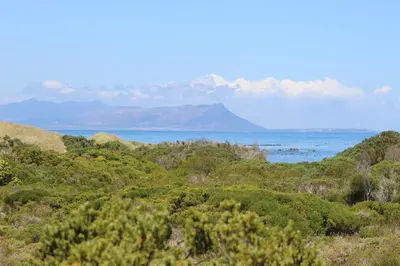 a view of the ocean and mountains in the distance at Betty's Bay Cottage in Bettyʼs Bay