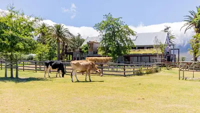 Gallery image of Extraordinary Barn Loft at Animal Sanctuary in Franschhoek