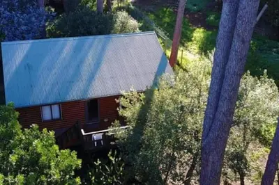 an aerial view of a log cabin in the woods at Helderberg Cottage in Somerset West
