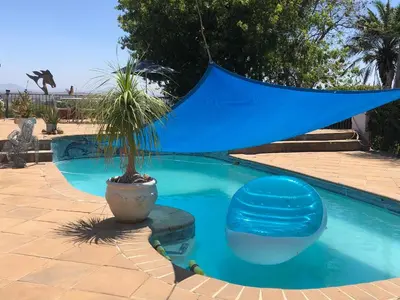 a palm tree in a pot next to a swimming pool at Roland’s Valley Art Accommodation in Stellenbosch