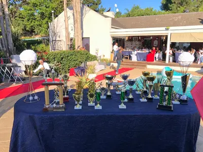 a blue table with trophies and awards on it at Roland’s Valley Art Accommodation in Stellenbosch