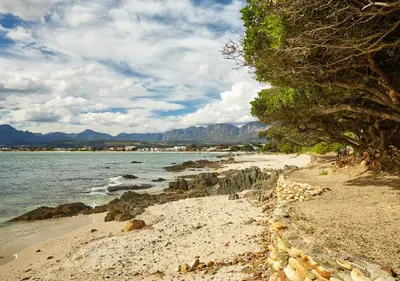 a sandy beach with trees and the water at First Group Cape Gordonia in Gordonʼs Bay