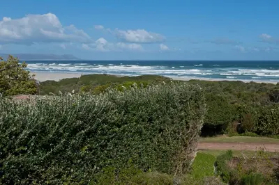a view of a beach with a bush and the ocean at Mosselberg on Grotto Beach in Hermanus