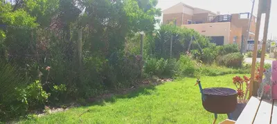 a garden with a trash can in the grass at Cat Nap Cottage in Bettyʼs Bay