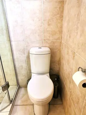 a bathroom with a toilet and a roll of toilet paper at 28 on Ryneveld in Stellenbosch