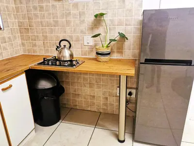 a kitchen counter with a tea kettle and a plant on it at 28 on Ryneveld in Stellenbosch