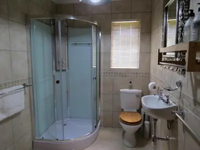 a bathroom with a shower and a toilet and a sink at 10 on Berg in Villiersdorp