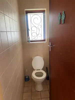 a bathroom with a toilet and a window at A cosy home in Hermanus in Hermanus