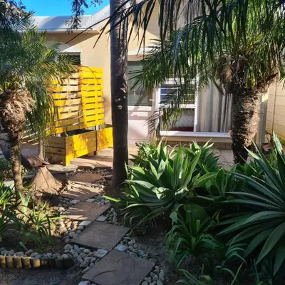 a garden with palm trees and a yellow bench at Mads Place in Cape Town