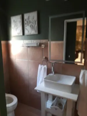 a bathroom with a sink and a toilet at Strandloper Room in Cape Town