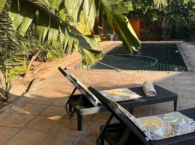 Gallery image of Lovely Garden Studio1 - 10 minute walk from beach in Cape Town