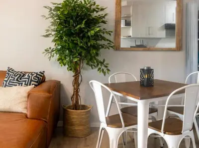 a dining room with a table and a potted plant at Refresh at 50 Whale Rock in Hermanus