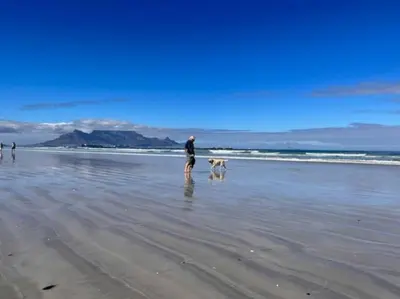 Gallery image of Lovely Garden Studio 5 - 10 min walk to the beach in Cape Town