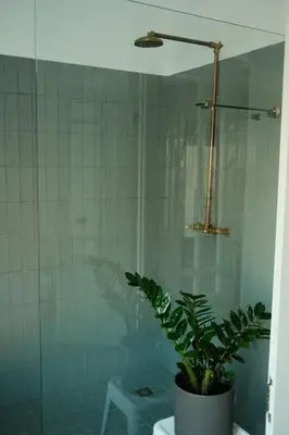 a bathroom with a shower with a plant in it at Gabriëlskloof Farm House in Botrivier
