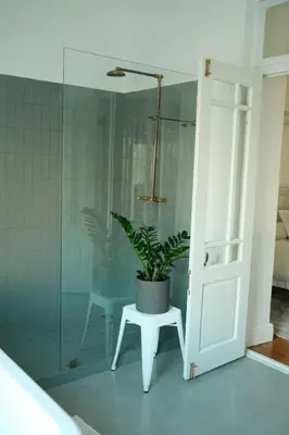 a bathroom with a plant in a glass shower at Gabriëlskloof Farm House in Botrivier