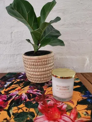 a plant in a pot next to a candle on a table at Stirling House in Paarl