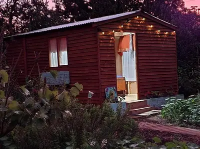 a small wooden house with lights on it at Gypsy Mama in Greyton in Greyton