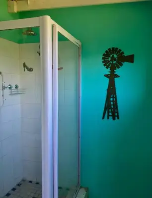 a bathroom with a shower with a windmill on the wall at PONDOKKIE in Greyton