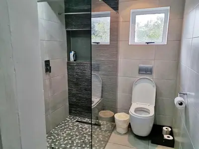 a bathroom with a shower with a toilet and a sink at Hermanus 13 on 2nd Guest Rooms in Hermanus