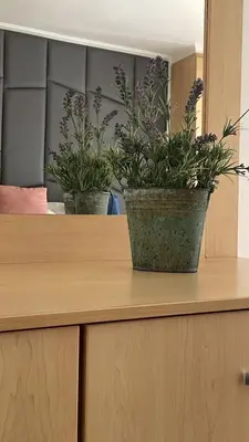 two potted plants sitting on top of a dresser at The Other House - Cape Town in Cape Town