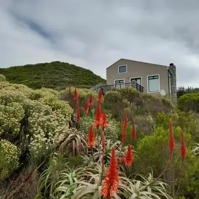 Peaceful Seaside Cottage