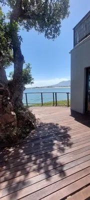 a tree on a wooden boardwalk next to the ocean at Driftwood Beach Villa in Gordonʼs Bay