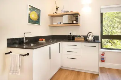 a kitchen with white cabinets and a sink at The Oasis of Stellenbosch in Stellenbosch
