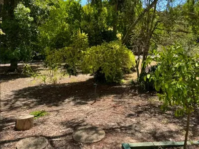 a garden with trees and rocks and a bench at Bordeaux 45 in Cape Town