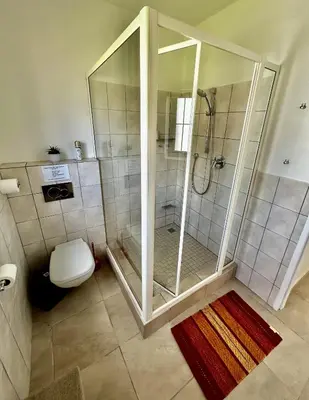 a bathroom with a shower and a toilet at Happy Place Pringle Bay for 2 in Pringle Bay