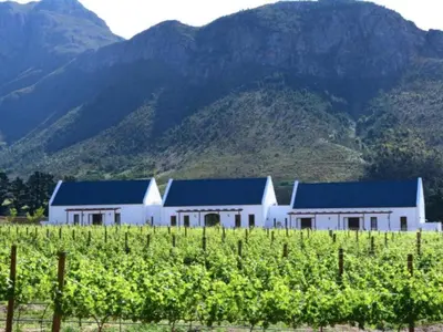 a white building with blue roofs next to a vineyard at Chambray Estate - The Terraces in the Vines in Franschhoek
