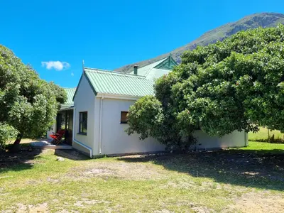 a small white house with trees in front of it at Milkwood Cottage in Bettyʼs Bay