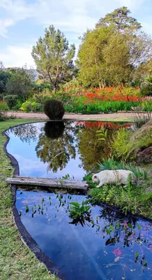 a pond in the middle of a garden at Blissful Country Garden King Bed Cottage in Grabouw