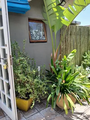 a garden with plants in pots next to a door at Rusticana Room1 in Cape Town
