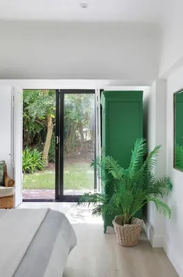a bedroom with a green door and a plant at Best of Both! Mountain and Sea View Home. in Hermanus