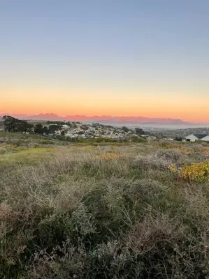 a field of grass with the sunset in the background at Luxury Vineyard Apartment in Cape Town