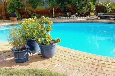 two potted plants sitting next to a swimming pool at WiFi & Solar at Studio on Morgenster in Cape Town