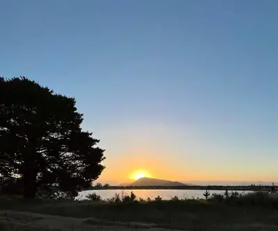 a sunset over a body of water with a tree at Moya's Vineyard in Mosselrivier