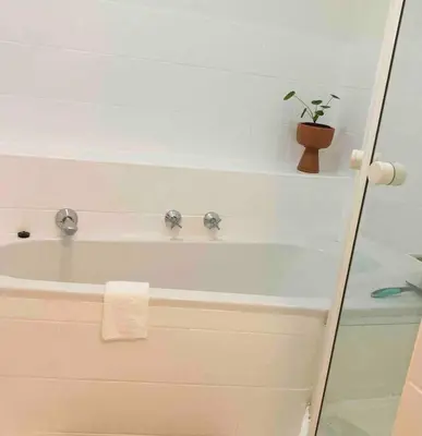 a bathroom with a bath tub with a potted plant at Garden studio close to Wine Farms in Somerset West
