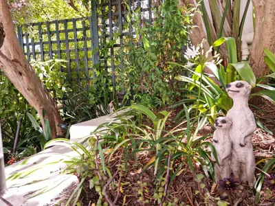 two statues of meerkats standing in a garden at 'Kaya Moya' - Luxury Suite for 2 with Ocean Views in Gordonʼs Bay