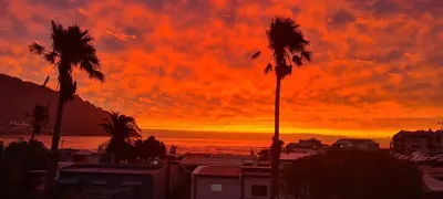 a sunset with palm trees in front of the ocean at Lente Beach Cottage, Fleur Park, Gordon's Bay in Gordonʼs Bay