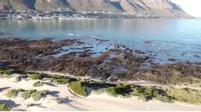 an aerial view of the shore of a beach at Lente Beach Cottage, Fleur Park, Gordon's Bay in Gordonʼs Bay