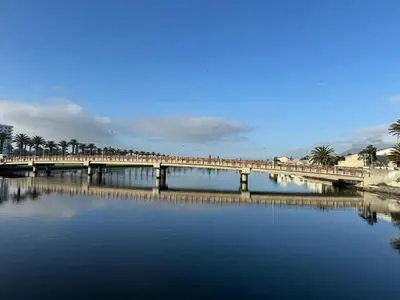 a bridge over a body of water with palm trees at Beautiful garden flat in Cape Town