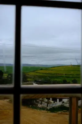 a view of a field from a window at Dassenheuwel Farm Stay Cottages in Malmesbury