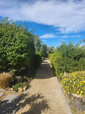 a dirt road with yellow flowers and trees on it at Haus Merwe Self Catering in Cape Town