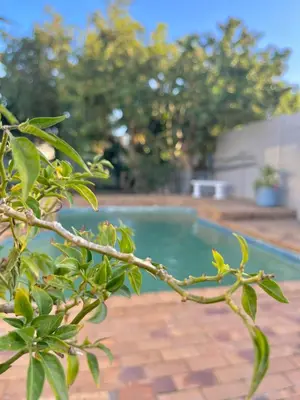 a tree branch in front of a swimming pool at 3 Bedroom Family Home with Pool in Cape Town