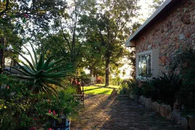 a house with a yard with a plant and a building at Amberg Country Estate in Paarl
