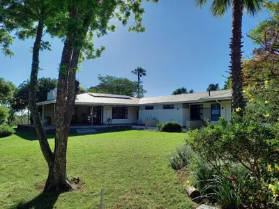 a house with palm trees in the yard at Somer House Guest Suites in Somerset West